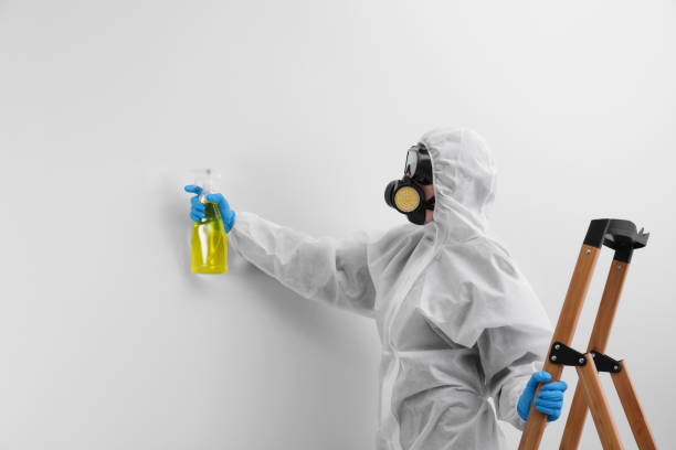 Trusted Williamsville, IL Mold Removal Experts